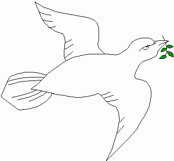 wiite duif, teken van de heilige geest